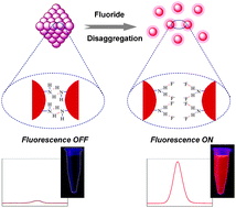 Graphical abstract: A switchable fluorescent quantum dot probe based on aggregation/disaggregation mechanism