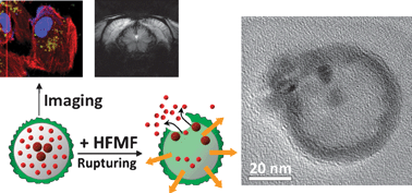 Graphical abstract: Remotely nano-rupturable yolk/shell capsules for magnetically-triggered drug release