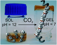 Graphical abstract: Sodium and pH responsive hydrogel formation by the supramolecular system calix[4]pyrrole derivative/tetramethylammonium cation