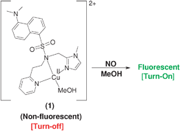 Graphical abstract: Fluorescence-based detection of nitric oxide in aqueous and methanol media using a copper(ii) complex