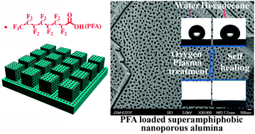 Graphical abstract: Self-healing superamphiphobicity