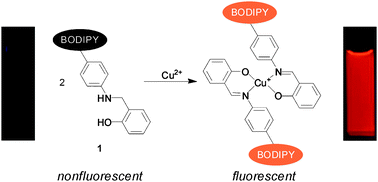 Graphical abstract: A BODIPY-based fluorescent chemodosimeter for Cu(ii) driven by an oxidative dehydrogenation mechanism