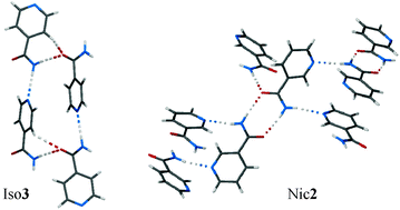 Graphical abstract: New polymorphs of isonicotinamide and nicotinamide