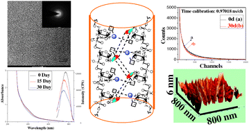 Graphical abstract: Synthesis and photophysics of red emitting RNA templated PbSe nanostructures