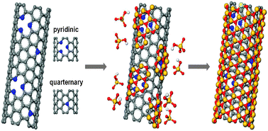 Graphical abstract: Biomimetic mineralization of vertical N-doped carbon nanotubes