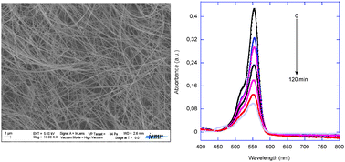 Graphical abstract: Photocatalytic activity of silicon nanowires under UV and visible light irradiation