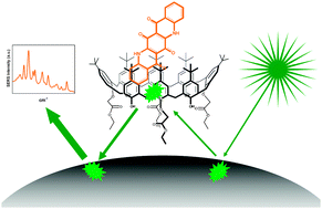 Graphical abstract: Solution SERS of an insoluble synthetic organic pigment-quinacridone quinone-employing calixarenes as dispersive cavitands