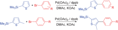 Graphical abstract: Palladium-catalysed direct arylation of thiophenes tolerant to silyl groups