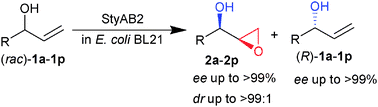 Graphical abstract: Highly diastereo- and enantio-selective epoxidation of secondary allylic alcohols catalyzed by styrene monooxygenase