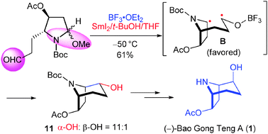 Graphical abstract: A new method for the construction of the hydroxylated tropane skeleton: enantioselective synthesis of (−)-Bao Gong Teng A