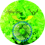 Graphical abstract: One pot production of 5-hydroxymethylfurfural with high yield from cellulose by a Brønsted–Lewis–surfactant-combined heteropolyacid catalyst