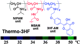 Graphical abstract: A PNIPAM-based fluorescent nanothermometer with ratiometric readout