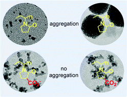 Graphical abstract: Rhodium nanoparticle catalysts stabilized with a polymer that enhances stability without compromising activity