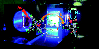 Graphical abstract: Photo-hydrogen-evolving molecular devices driving visible-light-induced water reduction into molecular hydrogen: structure–activity relationship and reaction mechanism