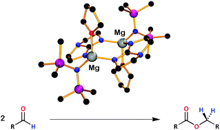 Graphical abstract: Bicyclic guanidinate compounds of magnesium and their activity as pre-catalysts in the Tishchenko reaction