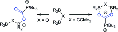 Graphical abstract: Bis-boranes in the frustrated Lewis pair activation of carbon dioxide