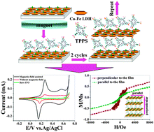 Graphical abstract: Magnetic-field-assisted assembly of CoFe layered double hydroxide ultrathin films with enhanced electrochemical behavior and magnetic anisotropy