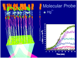 Graphical abstract: Selective picomolar detection of mercury(ii) using optical sensors