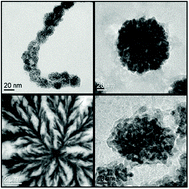 Graphical abstract: A facile approach for morphosynthesis of Pd nanoelectrocatalysts