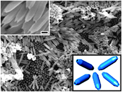 Graphical abstract: Unique fusiform alumina nanotubes fabricated by combined anodization