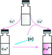 Graphical abstract: A highly specific rhodamine-based colorimetric probe for hypochlorites: a new sensing strategy and real application in tap water