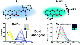 Graphical abstract: KCN sensor: unique chromogenic and ‘turn-on’ fluorescent chemodosimeter: rapid response and high selectivity