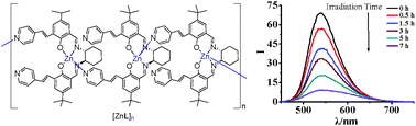 Graphical abstract: Controlled structures of a 1D chiral metallosalen polymer by photo- and solvent-induced partial depolymerization