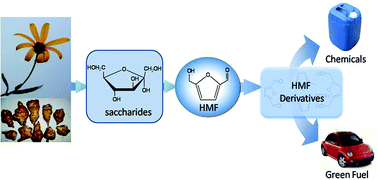 Graphical abstract: Tantalum compounds as heterogeneous catalysts for saccharide dehydration to 5-hydroxymethylfurfural