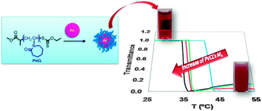 Graphical abstract: Thermoresponsive poly(N-vinyl caprolactam)-coated gold nanoparticles: sharp reversible response and easy tunability