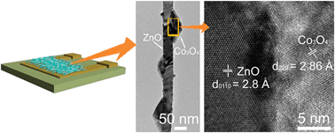 Graphical abstract: Selective detection of NO2 and C2H5OH using a Co3O4-decorated ZnO nanowire network sensor