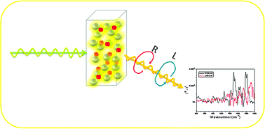 Graphical abstract: Use of a hydrogel polymer for reproducible surface enhanced Raman optical activity (SEROA)