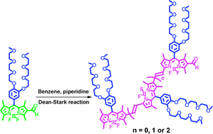 Graphical abstract: One-pot efficient synthesis of dimeric, trimeric, and tetrameric BODIPY dyes for panchromatic absorption