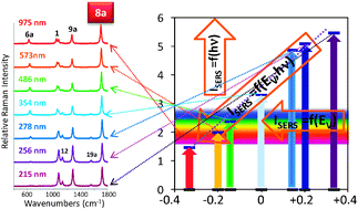 Graphical abstract: How the electrode potential controls the selection rules of the charge transfer mechanism of SERS