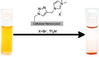 Graphical abstract: Imidazolium grafted cellulose nanocrystals for ion exchange applications