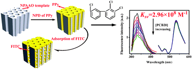 Graphical abstract: FITC-modified PPy nanotubes embedded in nanoporous AAO membrane can detect trace PCB20via fluorescence ratiometric measurement