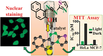 Graphical abstract: Planar triazinium cations from VO2+-assisted ring cyclizations: a remarkably efficient thiazole species for nuclear staining, PDT and anaerobic photocleavage of DNA