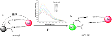 Graphical abstract: Hydrogen bond breakage by fluoride anions in a simple CdTe quantum dot/gold nanoparticle FRET system and its analytical application