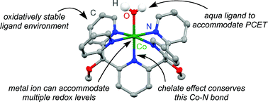 Graphical abstract: Electrochemical evidence for catalyticwater oxidation mediated by a high-valent cobalt complex