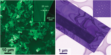 Graphical abstract: Ultralarge single crystal SnS rectangular nanosheets