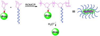 Graphical abstract: pH-Sensitive brush polymer-drug conjugates by ring-opening metathesis copolymerization