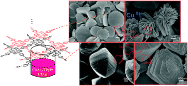 Graphical abstract: Facile synthesis of shape and size tunable porphyrinoid coordination polymers: from copper porphyrin nanoplates to microspindles