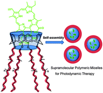 Graphical abstract: Supramolecular polymeric micelles by the host–guest interaction of star-like calix[4]arene and chlorin e6 for photodynamic therapy