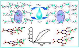 Graphical abstract: Structural interconversion between a chain polymer and a two-dimensional network accompanied by tunable magnetic properties