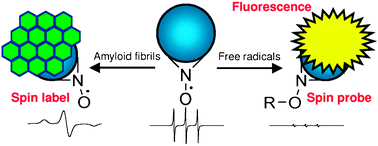 Graphical abstract: Monitoring the aggregation processes of amyloid-β using a spin-labeled, fluorescent nitroxyl radical