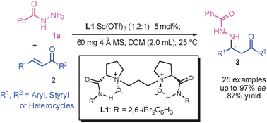 Graphical abstract: Enantioselective aza-Michael reaction of hydrazide to chalcones through the nonactivated amine moiety conjugated addition