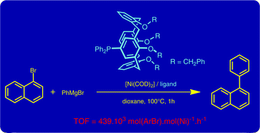 Graphical abstract: High efficiency of cavity-based triaryl-phosphines in nickel-catalysed Kumada–Tamao–Corriu cross-coupling