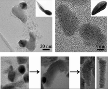 Graphical abstract: Shape controlled synthesis of tadpole-like and heliotrope seed-like AgInS2 nanocrystals