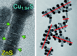 Graphical abstract: Synthesis and self-assembly of Cu1.94S–ZnS heterostructured nanorods