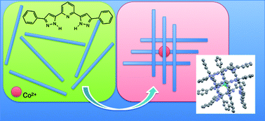 Graphical abstract: Di[2,6-bis(5-phenylpyrazol-3-yl)pyridine]Co(II): an old coordination mode for a novel supramolecular assembly