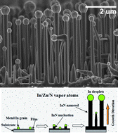 Graphical abstract: The role of zinc dopant and the temperature effect on the controlled growth of InN nanorods in metal–organic chemical vapor deposition system